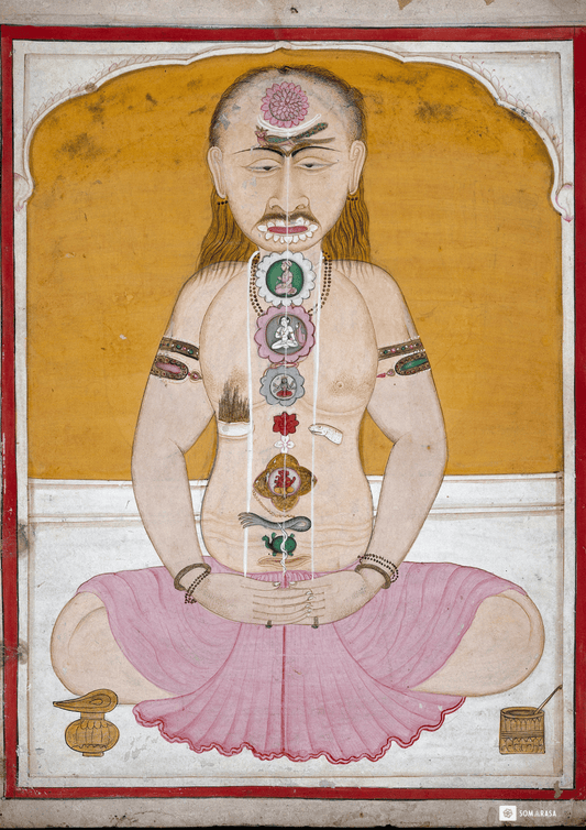 Yogin in Meditation – The Kundalini & Chakra System