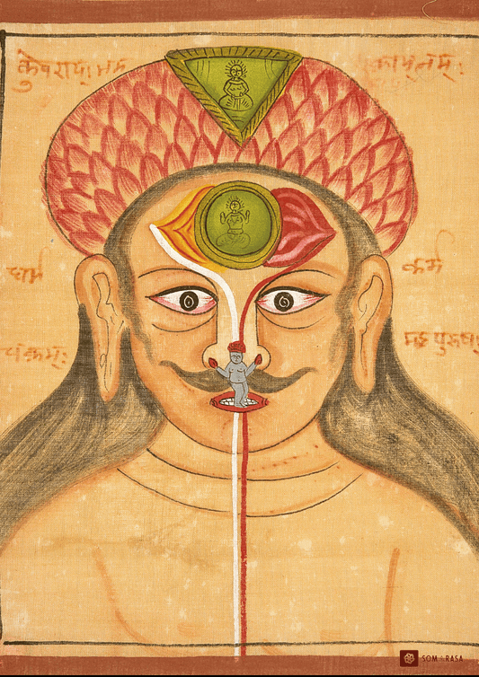 Kundalini Awakening - The Inner Journey of Divine Ascent
