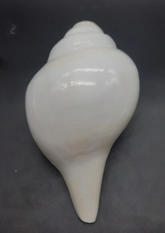 Vamavarti Shankh – The Blowing Conch