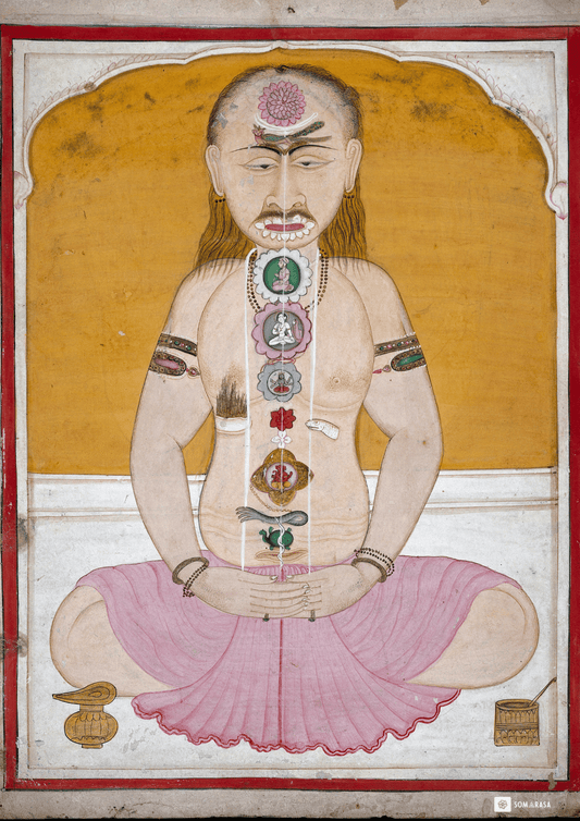 Yogin in Meditation – The Kundalini & Chakra System