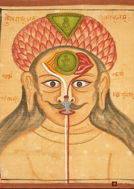 Kundalini Awakening - The Inner Journey of Divine Ascent