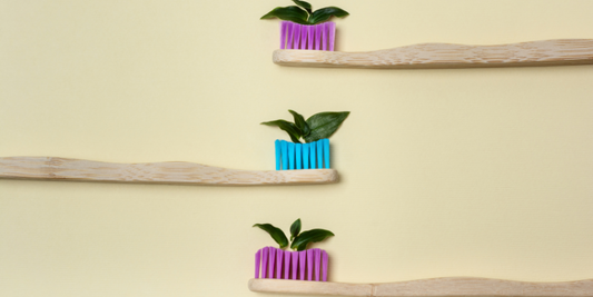 Building a Plastic-Free Routine: Simple Swaps You Can Make Today