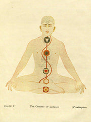 The Serpent Power – Arthur Avalon's Classic Study of Kundalini & the Chakras (English Ebook)