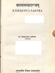 Kamakhya Tantram – The Sacred Tantra of the Goddess of Desire (Bilingual Ebook Bundle: Sanskrit, English & Hindi)