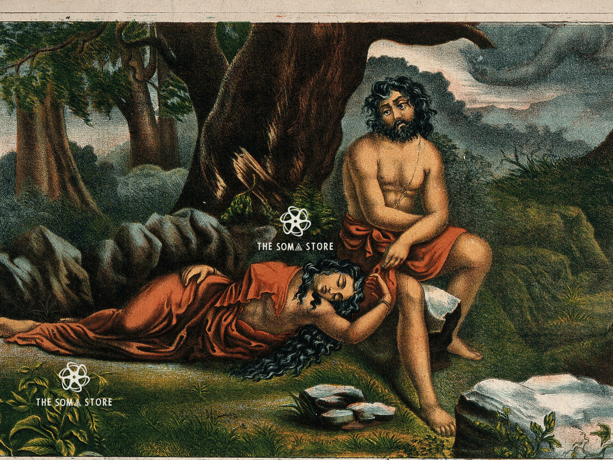 Nala and Damayanti in Exile - 18×24″ Museum Poster