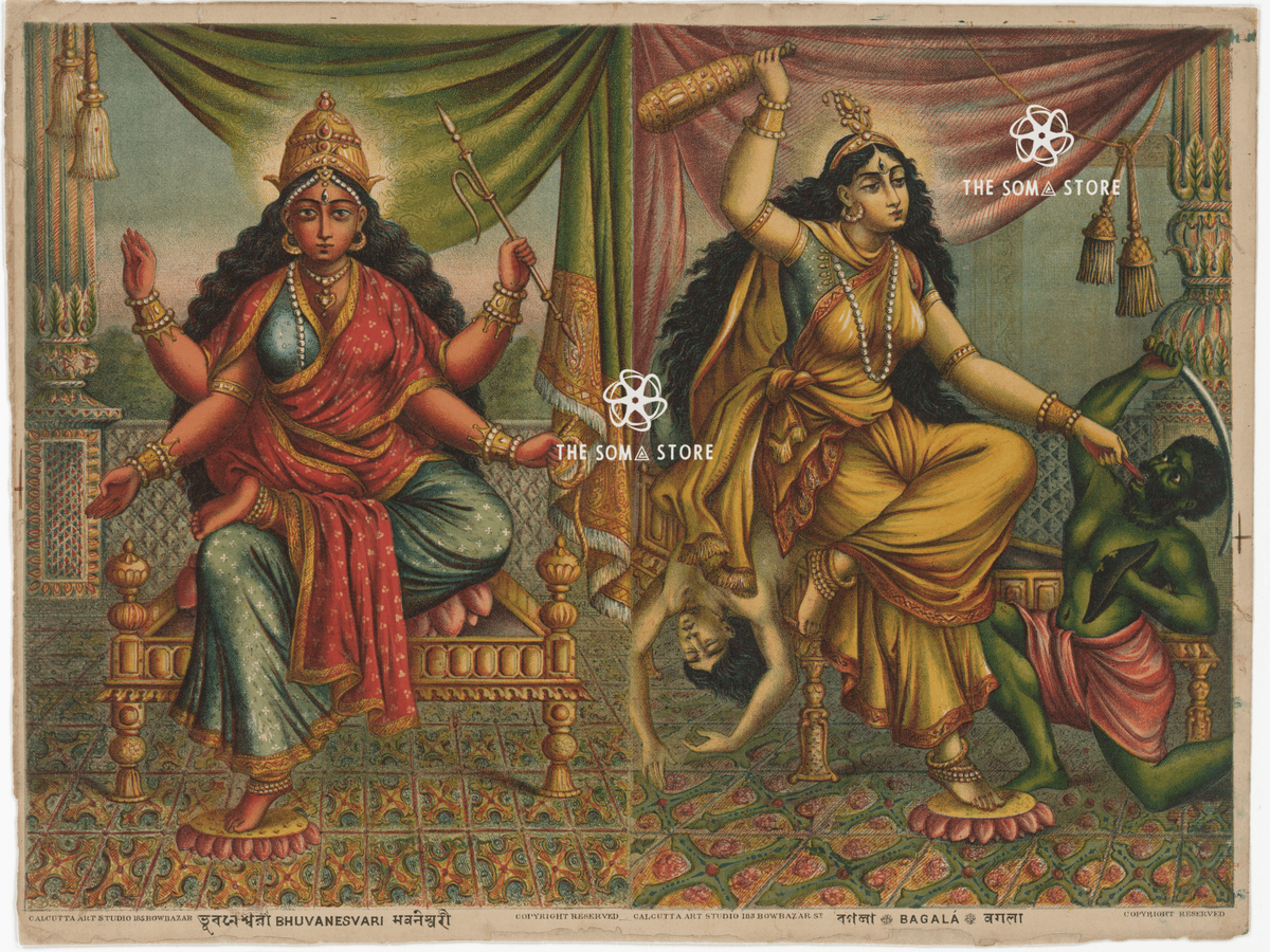 Bhuvaneshvari & Bagalamukhi - Mahavidya Forms of Shakti (18 × 24 in Poster)
