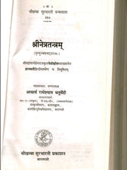 Shri Netra Tantram (Mrityunjaya Bhattaraka) – With Jnanavati Hindi Commentary (Ebook)