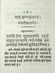 Vandhya Tantram – The Classical Sanskrit Treatise on Fertility & the Treatment of Childlessness (Ebook: Sanskrit with Hindi Commentary)