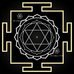 Dasha Mahavidya Yantra - Complete Set of Ten Cosmic Wisdom Goddesses - The Full Circle of Divine Feminine Liberation (14 × 14 in Each Poster)