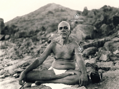 Sri Ramana Maharshi Seated at Arunachala - Historical Portrait (18 × 24 in Poster)