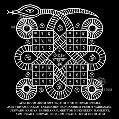 Kaal Sarp Yog Yantra - Sacred Geometry for Rahu-Ketu Balance, Serpent Energy Harmonization & Protection from Kaal Sarp Dosha (14 × 14 in Poster)