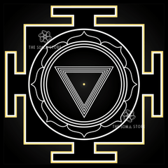 Dasha Mahavidya Yantra - Complete Set of Ten Cosmic Wisdom Goddesses - The Full Circle of Divine Feminine Liberation (14 × 14 in Each Poster)