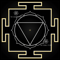 Dasha Mahavidya Yantra - Complete Set of Ten Cosmic Wisdom Goddesses - The Full Circle of Divine Feminine Liberation (14 × 14 in Each Poster)